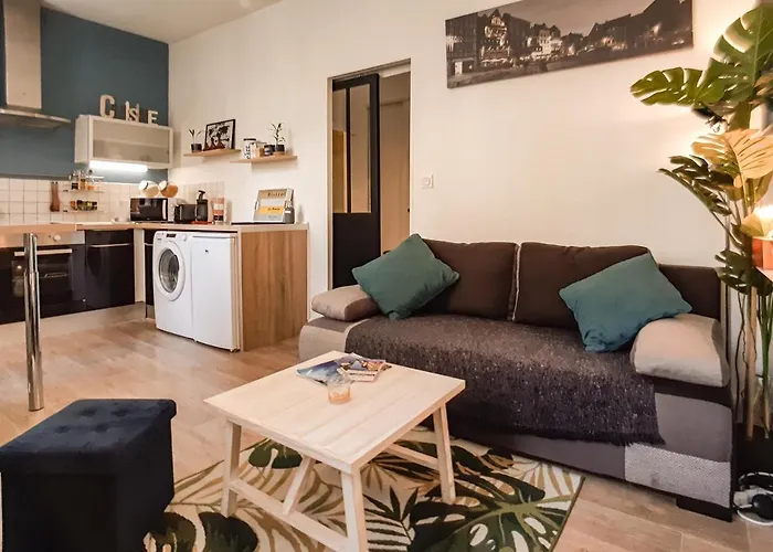 Cosy'appart - La Rose Lägenhet